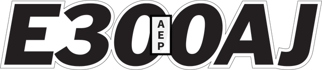 JLG 1704199 Decal Model E300Aj